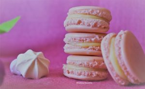 French no almond macarons